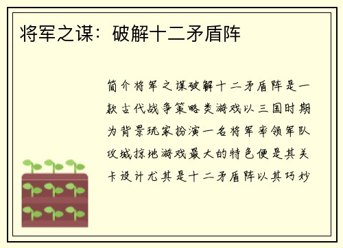 将军之谋：破解十二矛盾阵