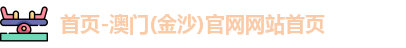 金沙官网进口